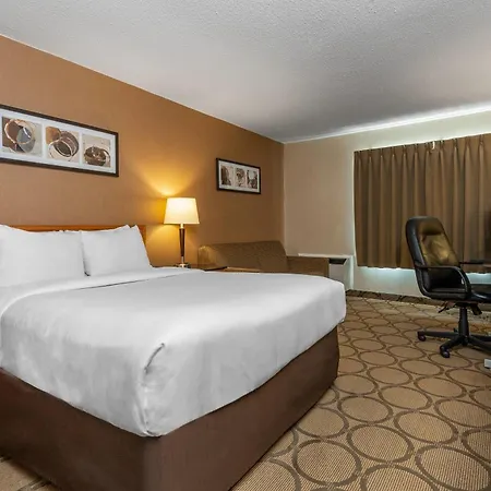 Comfort Inn Cobourg - Port Hope-3