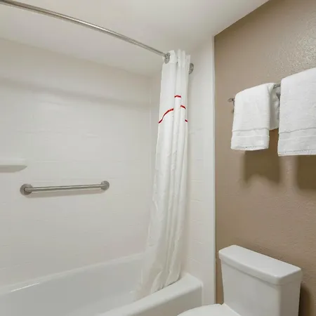 Red Roof Inn Tampa Bay - St. Petersburg-3