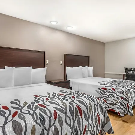 Red Roof Inn North Dallas - Park Central-3