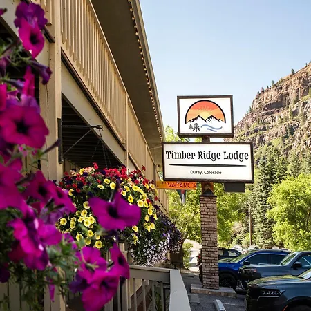 Timber Ridge Lodge Ouray-3