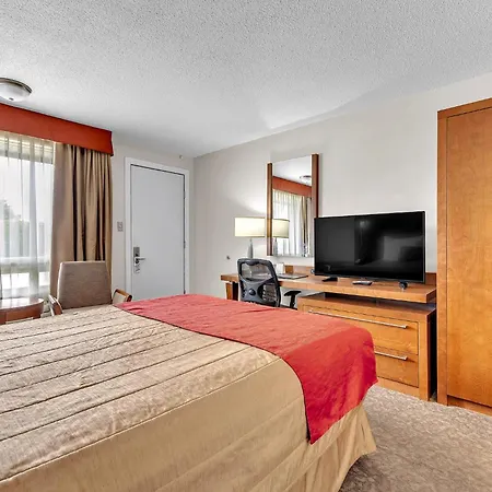 Motel Adam-3
