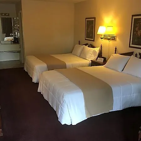 Alpine Lodge-3