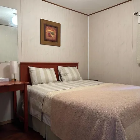 Dolphin Motel-2