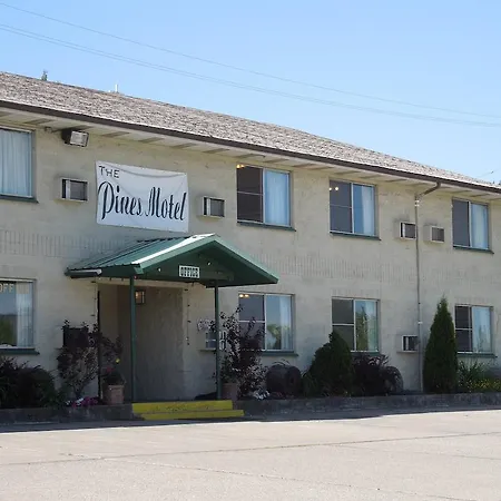 The Pines Motel-2