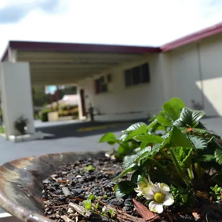 Wattle Motel-2