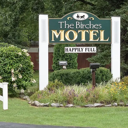 Birches Motel-3