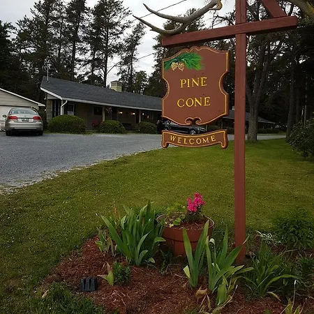 Pinecone Motel-2