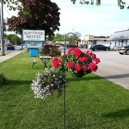 The Maplewood Motel-3