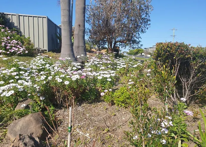 Sandpiper Motel Ulladulla