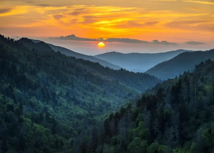 Smokies Inn - New Linens & Ultrafast Wifi - Friendliest Hospitality Guaranteed! Kodak