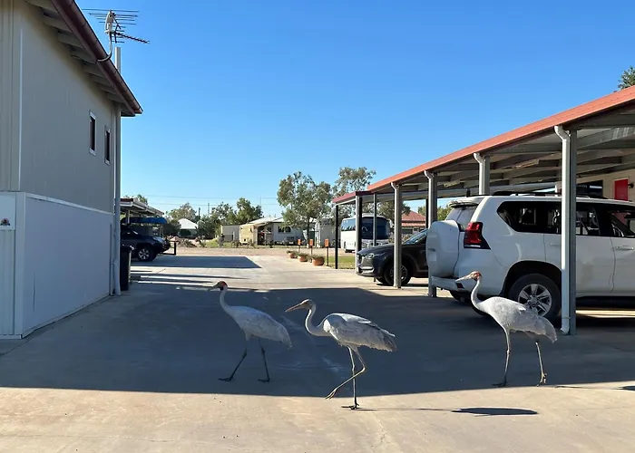 Winton Outback Motel