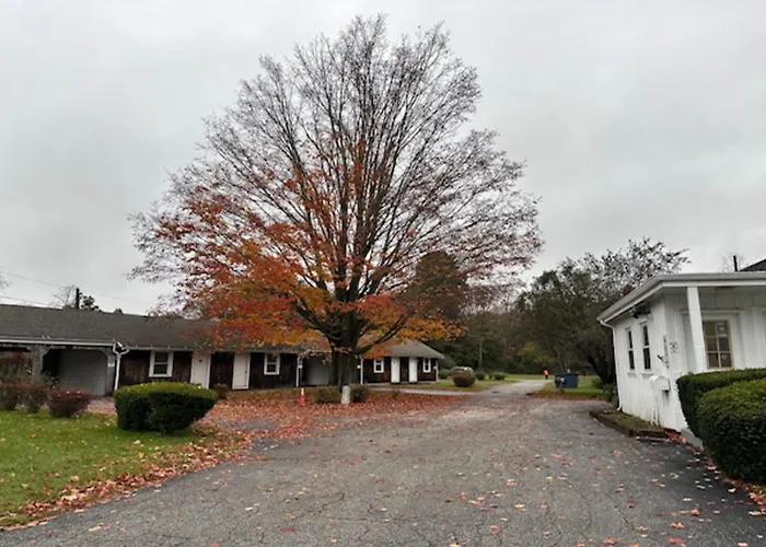 Village Motel By Oyo Clinton