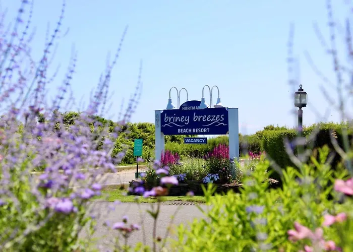 Hartman'S Briney Breezes Beach Resort Montauk