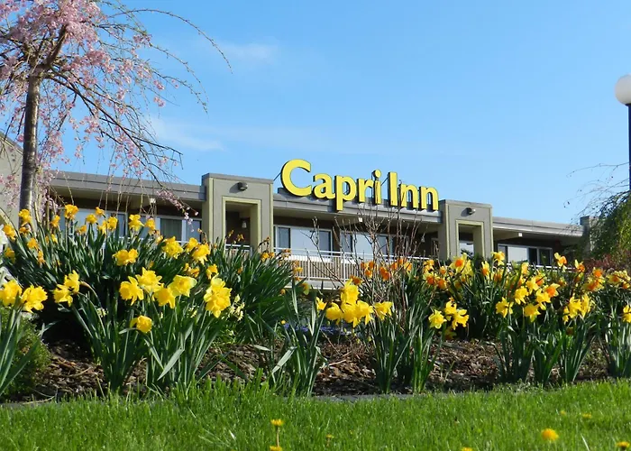 Capri Inn Saint Catharines