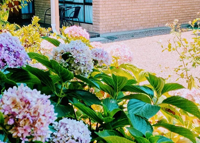 Muswellbrook Motor Inn