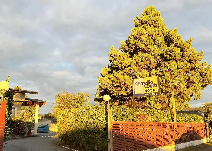 Camellia Court Family Motel Taupo