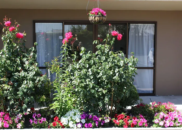 Carnmore Hagley Park Christchurch