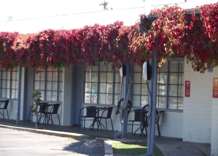 Guichen Bay Motel Robe