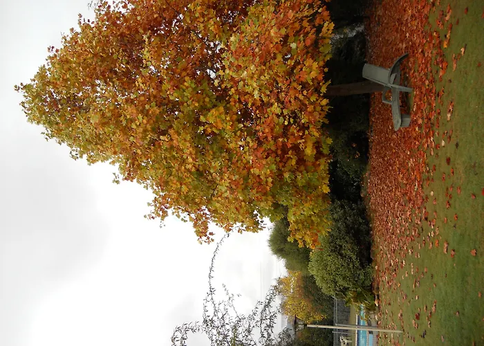 Motel Sierra - Bright