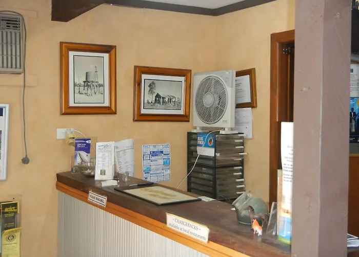 Goldrush Motel Young Cbd