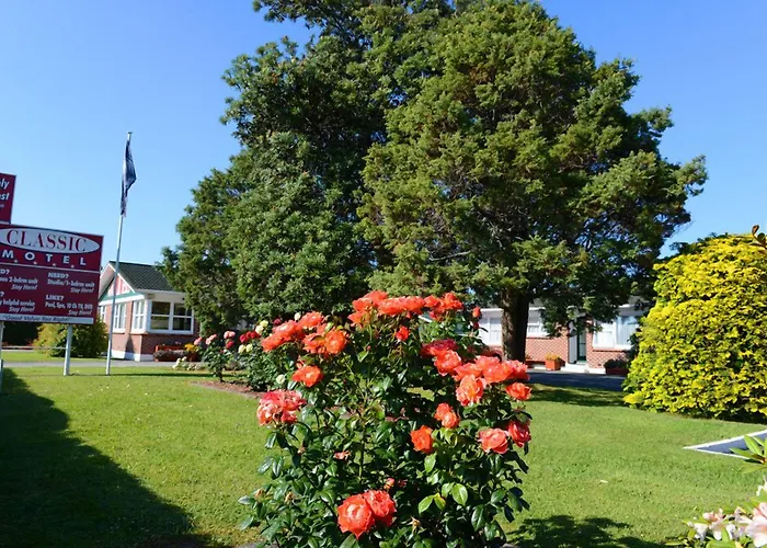Classic Motel Hamilton
