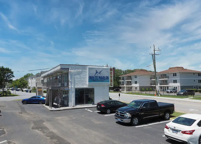 White Marlin Inn - Virginia Beach