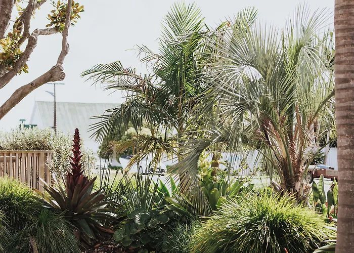 Peninsula Motel Whitianga