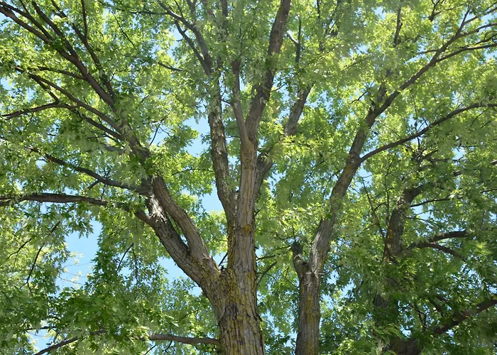 Motel Chez Nous Laval