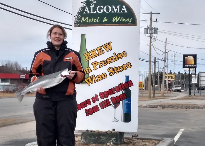 Algoma Motel Wawa