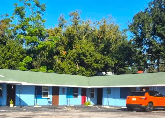 Antigua Motel By Oyo Tampa Us - 41