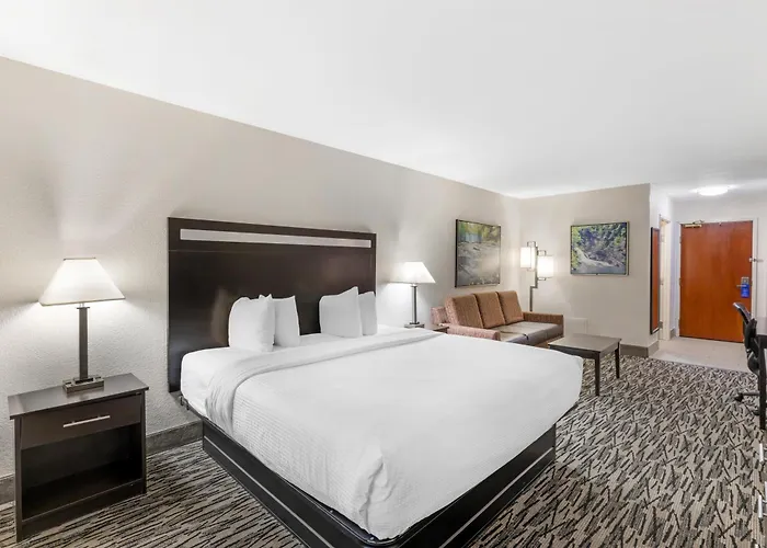 Best Western Plus Mcdonough Inn & Suites