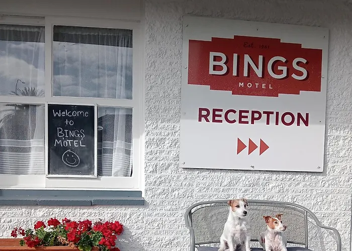 Bings Motel Blenheim