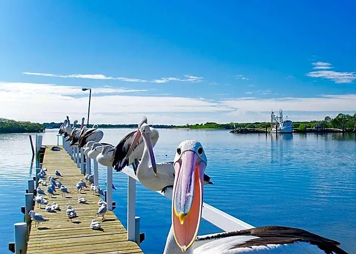 Moby Dick Waterfront Resort Motel Yamba