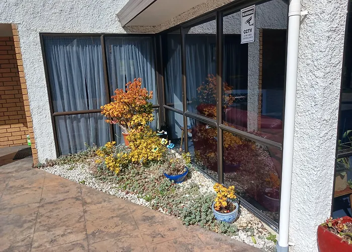 Palm City Motor Inn Napier