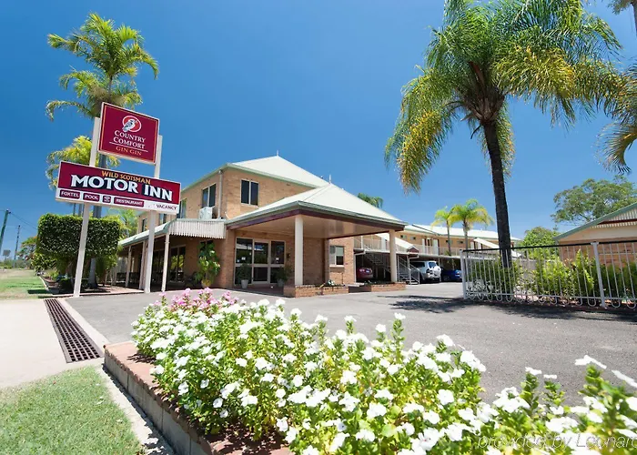 Wild Scotsman Motor Inn Gin Gin Qld